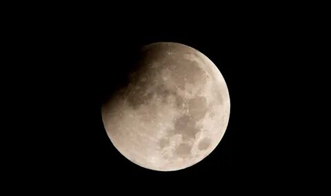 Moon society