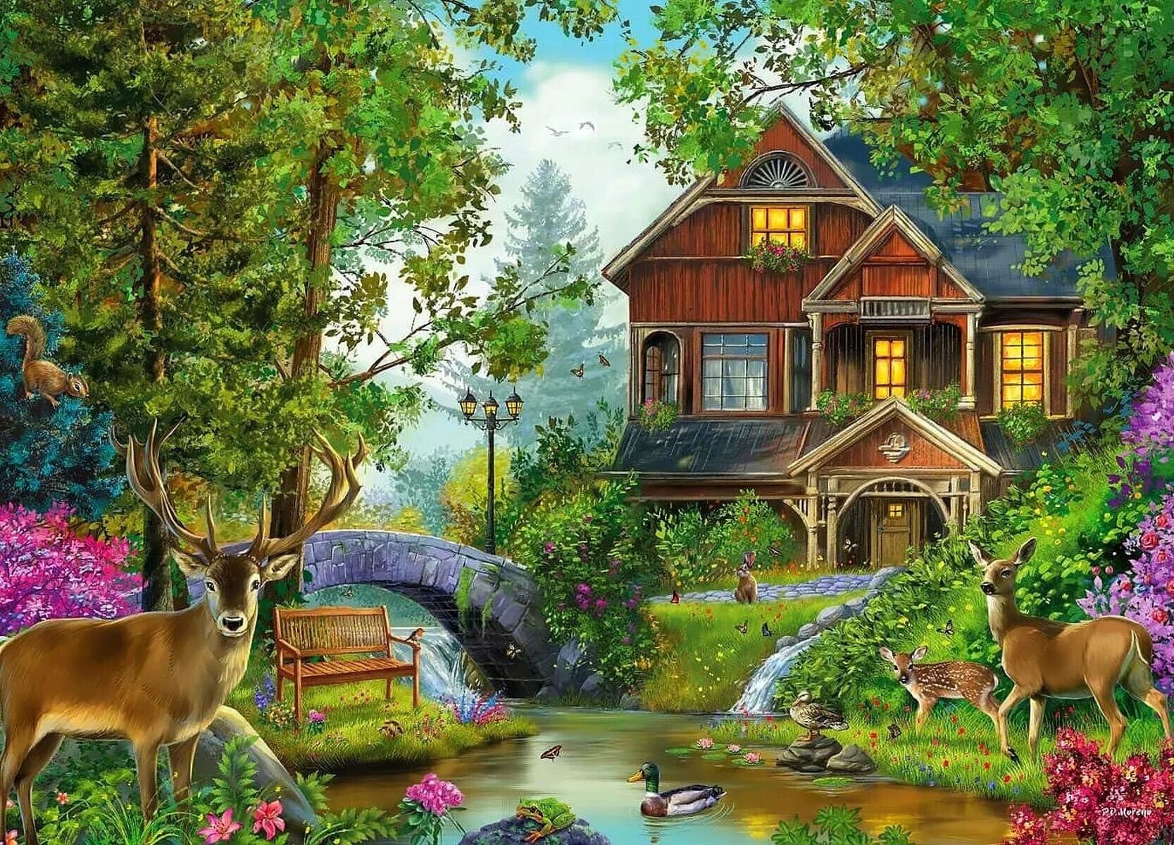 Картинки домов животных