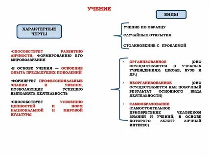 Формы виды деятельности обществознание огэ