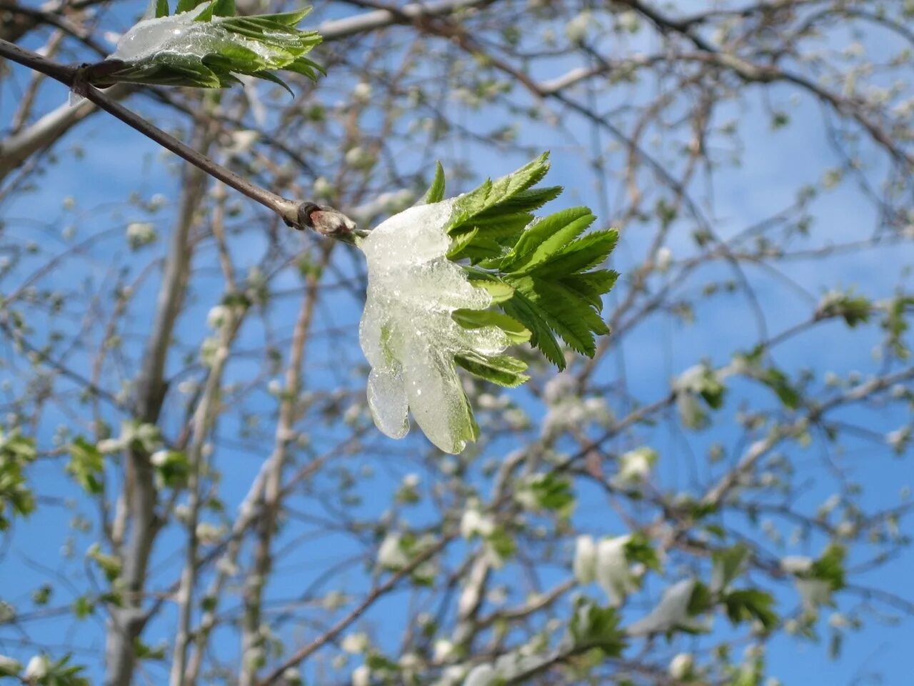 договор аренды коммерческого помещения между ип. права и обязанности арендодателя и арендатора. передача ключей. как составлять диалог с арендодателем. апрель арендодателям.