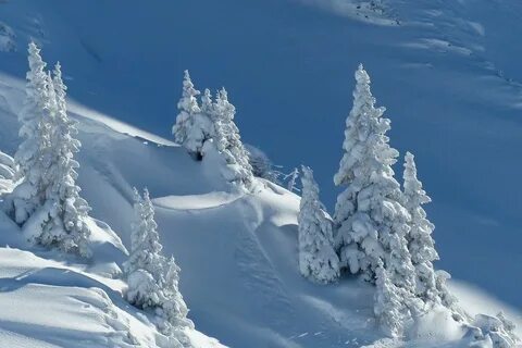 Бесплатные снег