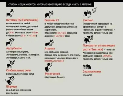Отравление крысиным ядом у собак симптомы