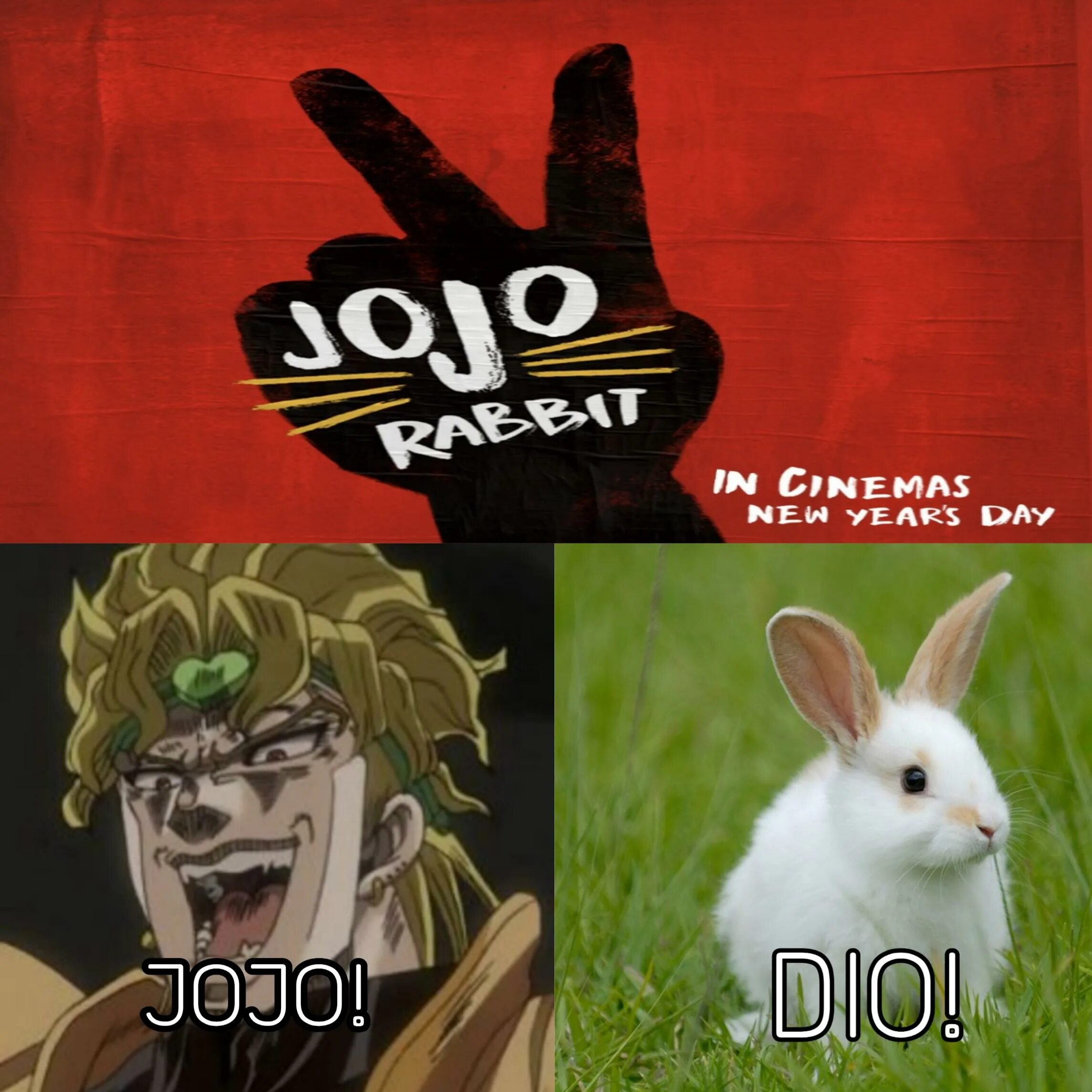 Jojo rabbit experience. Jojo rabbit experience
