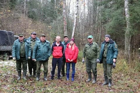 Дмитровское лесничество московской