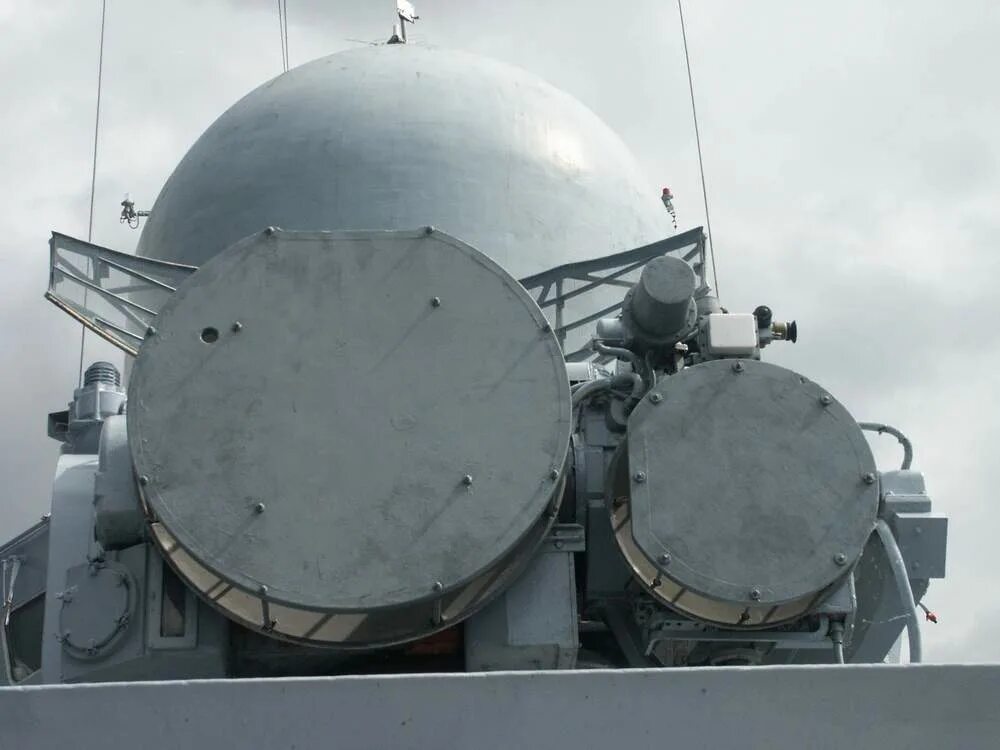 Зрк оса-ма-2. Оса амазонская полибия гнездо. Оса пелопей. Антенный пост зрк оса-м. Самец шершня.