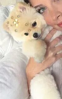 Оле собака