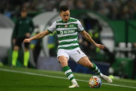 Спортинг лиссабон аталанта прогноз на матч