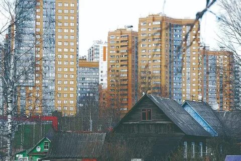 Домовой мурино