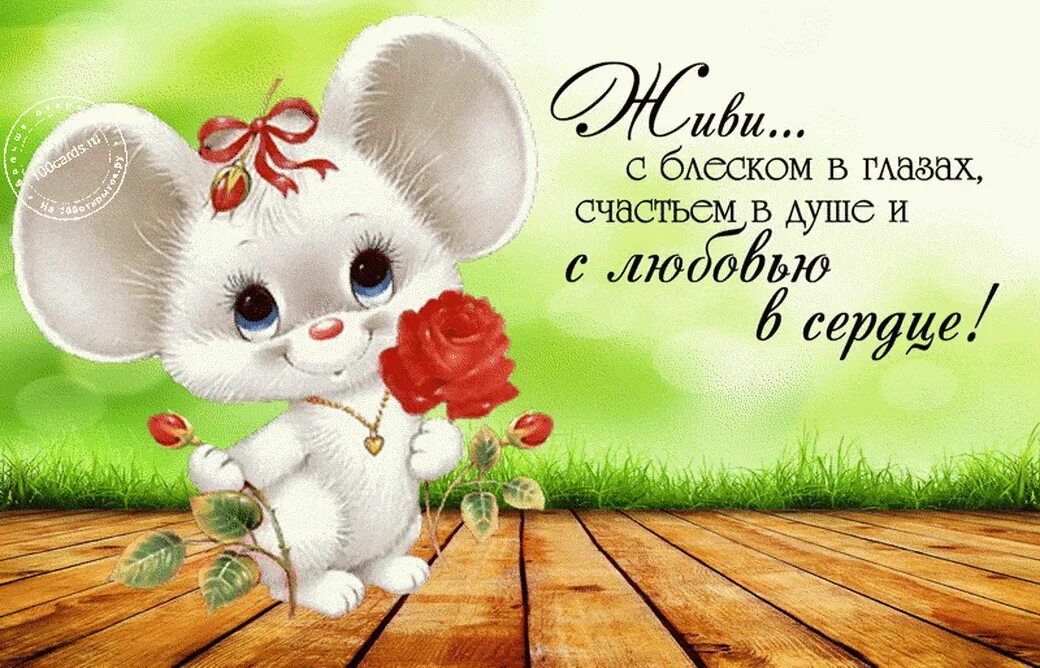 Позитивные пожелания на день рождение. С днем рождения мышка. Позитивные открытки с днем рождения. День рождения мышонка