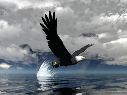 Flying eagle