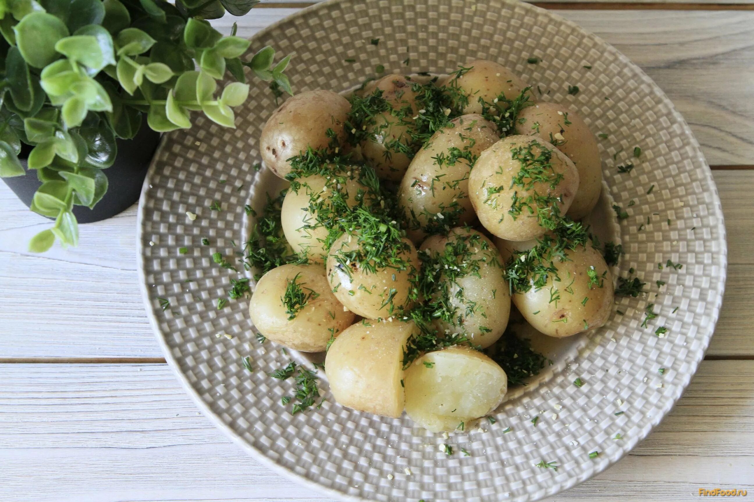 Печеный картофель в мундире. Картошка в мундире запеченная в духовке. Свежий картофель в мундире. Картофель молодой. Молодой картофель в мундире.