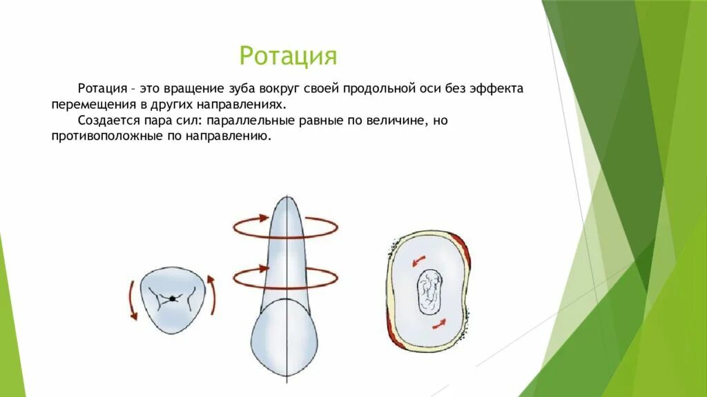 Ротация это. Ротация это в медицине. Ротация вокруг продольной оси. Ротационная основа.