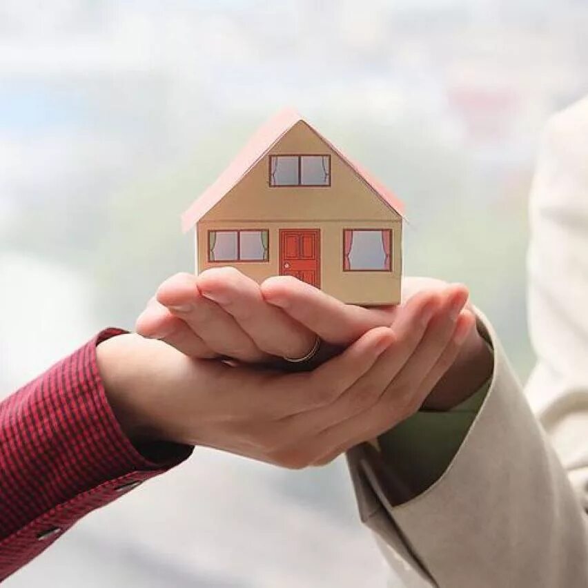 Предприниматель и новостройка. Жилье в ипотеку. Жилищный вопрос. Господдержка на недвижимость. Ипотека.