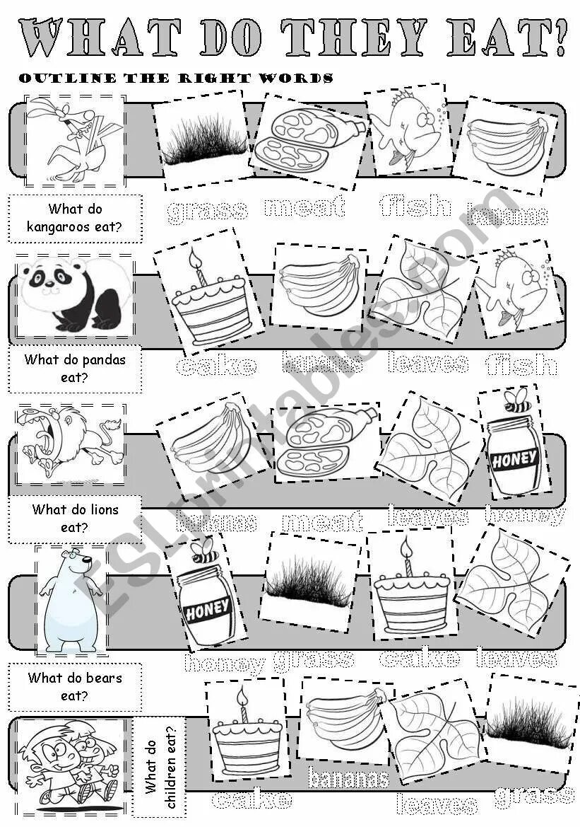 What did they eat. Look read and answer the questions. Animals like to eat worksheets. What do animals eat worksheets for kids. What did they eat.