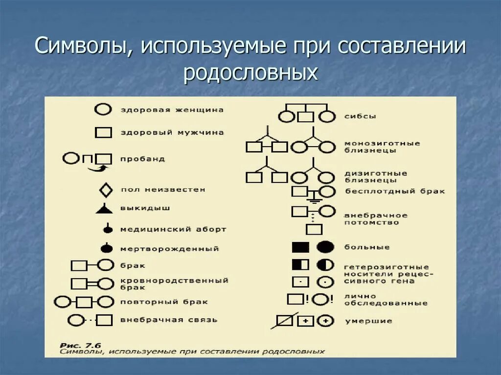 Условные обозначения генетики. Практическая работа по биологии 9 класс составить родословную. Генеалогическое Древо заболеваний наследственных болезней. Родословная составление генетика. Лабораторная по биологии 9 класс составление родословных.