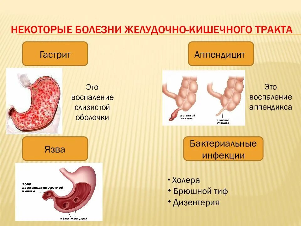 Пищеварительная система причины. Заболевания пищеварительной системы. Заболевания пищеварительной системы человека. Заболевания органов ЖКТ. Болезни органов пищеварительной системы.