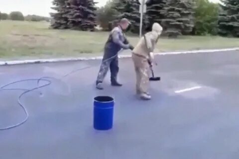 Хозяин участка решил покрасить 232