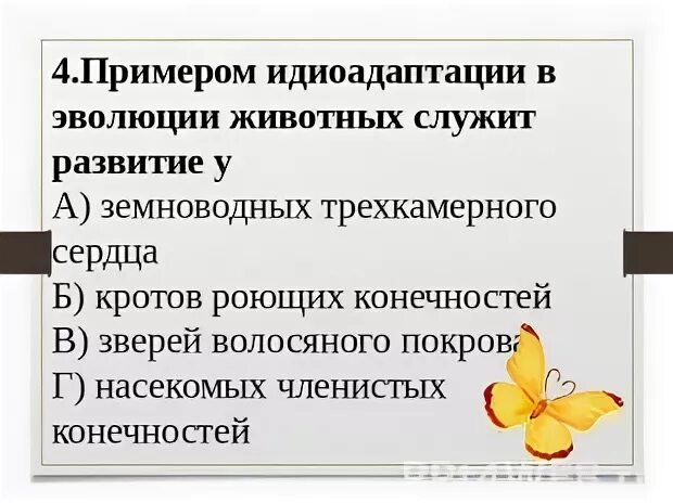 Направление развития 9. Примером идиоадаптации является. Примеры эволюции животных. Основные направления эволюции, задания для контроля.