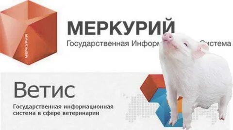Меркурий мясо