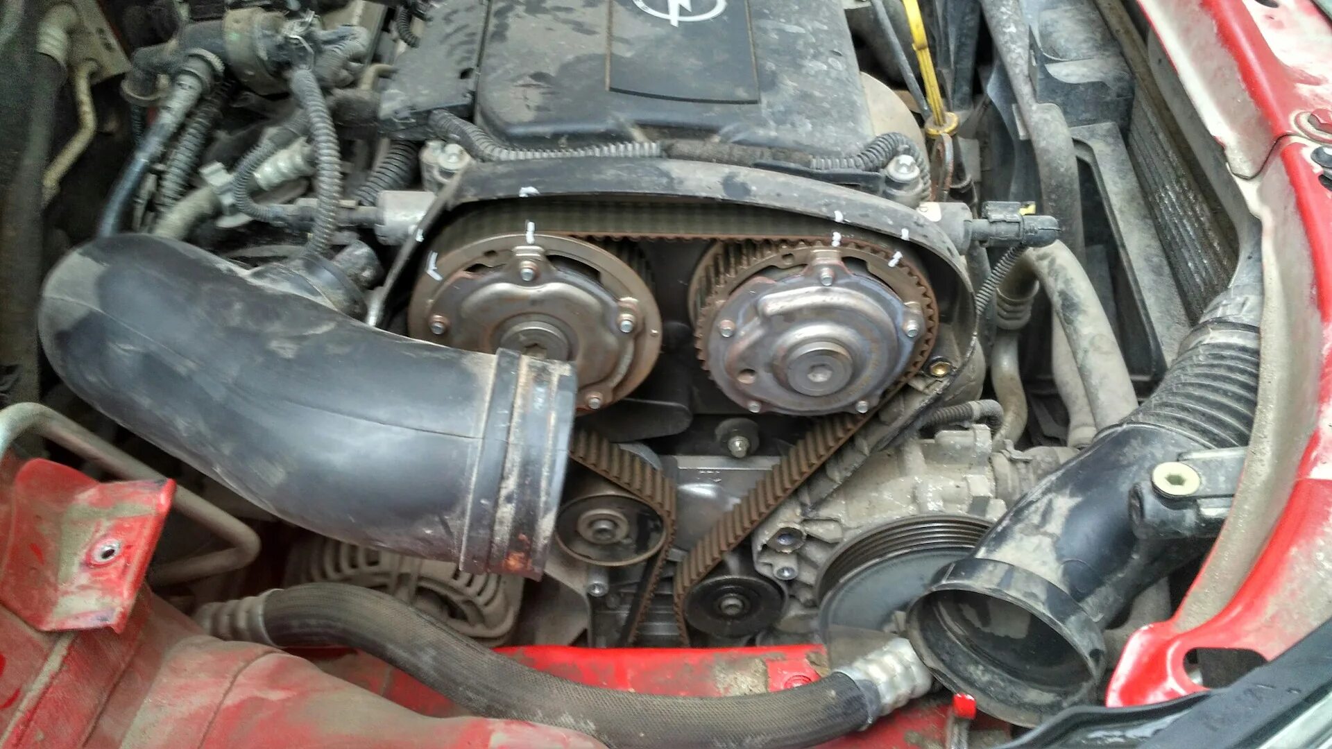 Замена грм опель 1. Замена грм опель 1. 8 xer. Ремень грм опель 1. Ремень грм для опель зафира а 1.