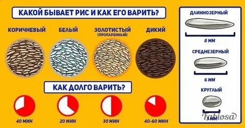 Диаметр риса в мм