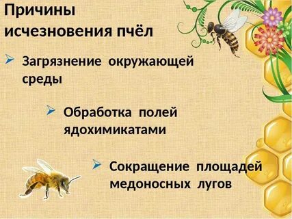 Почему нет пчел