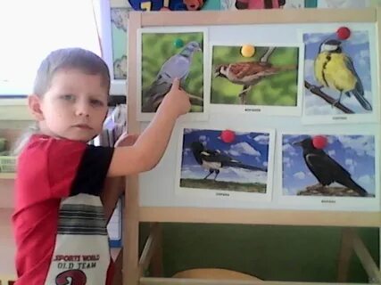 Неделя зимующие птицы в старшей группе