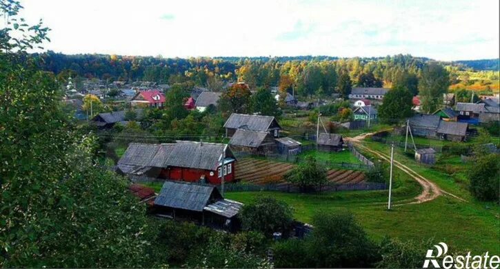 Селеево новгородская область. Селеево новгородская область. Перегино ловать. Селеево новгородская область. Перегино ловать.