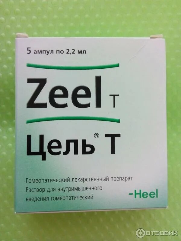 Цель т отзывы врачей. Цель т. Цель т амп. Цель т гомеопатия. Препараты цель т уколы.