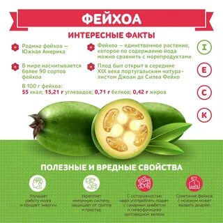 Сколько можно есть фейхоа