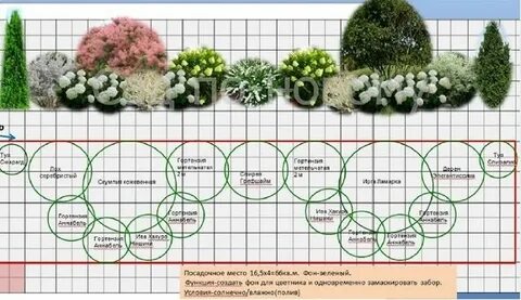 Золотое сечение в ландшафтном