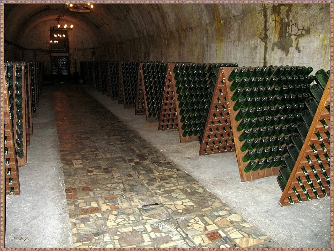 винзавод абрау дюрсо. абрау дюрсо завод шампанских вин. винный завод абрау дюрсо. абрау дюрсо винодельня. завод шампанского абрау дюрсо.