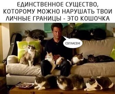 Отстой а можно я с тобой текст