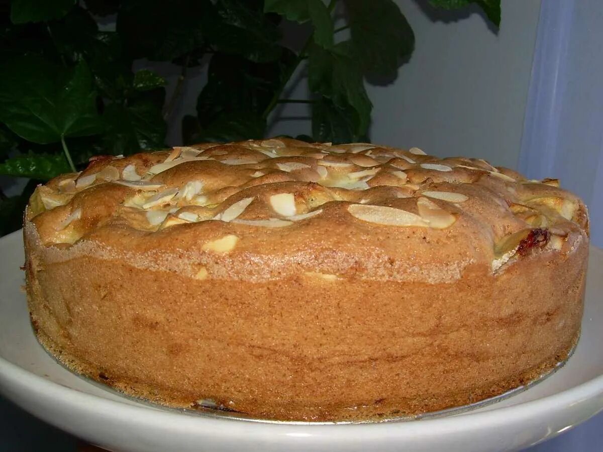 Рецепт шарлотки с яблоками в мультиварке пышный. Бисквит с яблоками в духовке. бисквитный пирог с яблоками. шарлотка бисквитная. шарлотка бисквитная с яблоками.