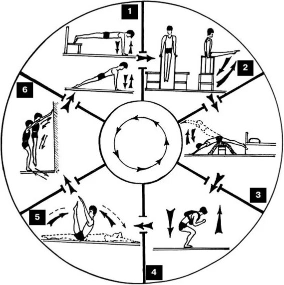 Метод круговой тренировки схема. Комплекс круговой тренировки схема. Метод круговой тренировки 6 станций. Круговая тренировка принципы построения. Комплекс упражнений с использованием метода круговой тренировки