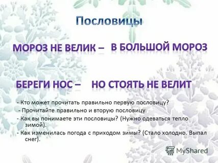 Окончание слова морозы