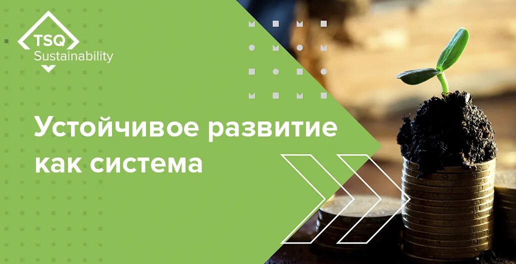 Tsq consulting. Sustainable практики. tsq consulting логотип. устойчивое развитие бизнеса букеты. tsq sustainability где расположены.