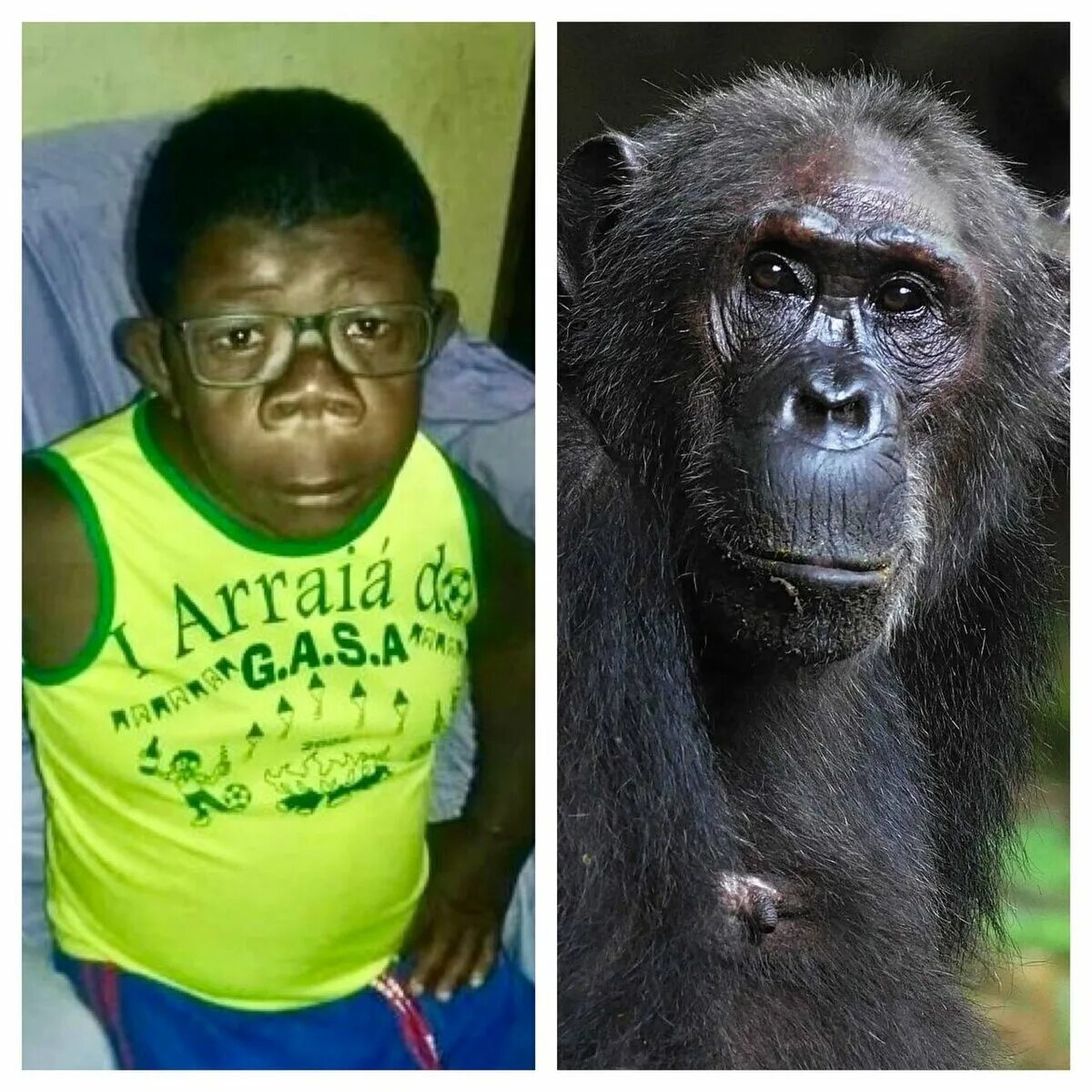 Покажи человека обезьяну. Мальчик обезьяна. Шимпанзе и человек. Шимпанзе, самец. Шимпанзе фото.