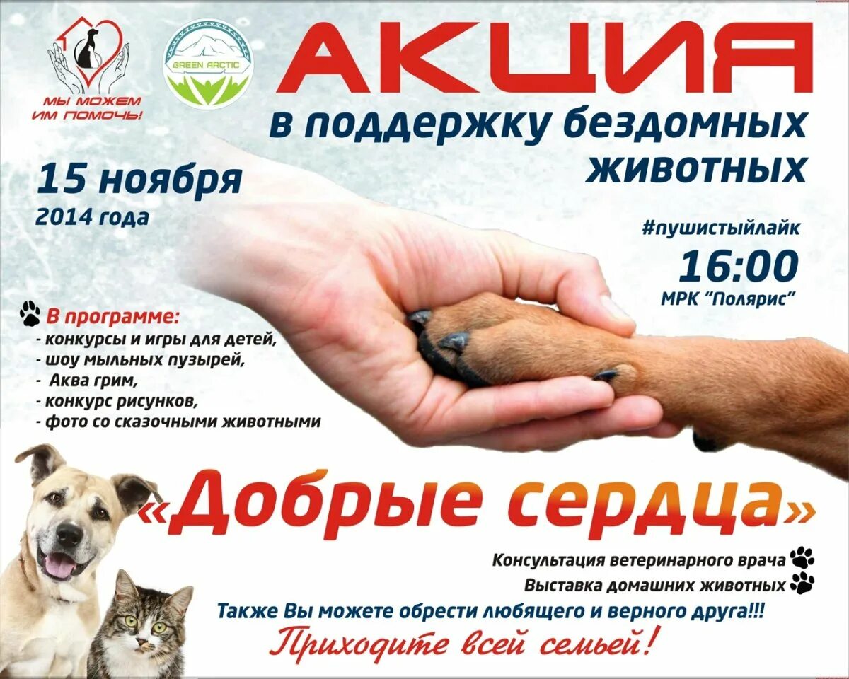 Чит помощь животным. Акция помощь бездомным животным. акция помощь животным. акция для бездомных животных. акция в поддержку бездомных животных.