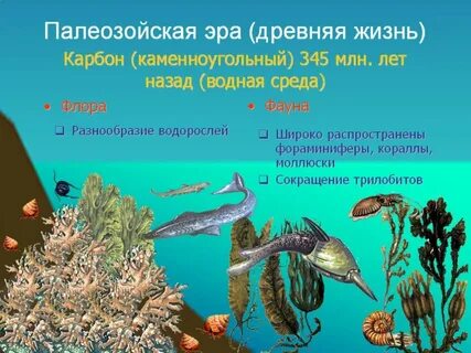 Растительный мир палеозойской эры таблица