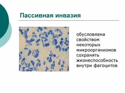 Инвазия
