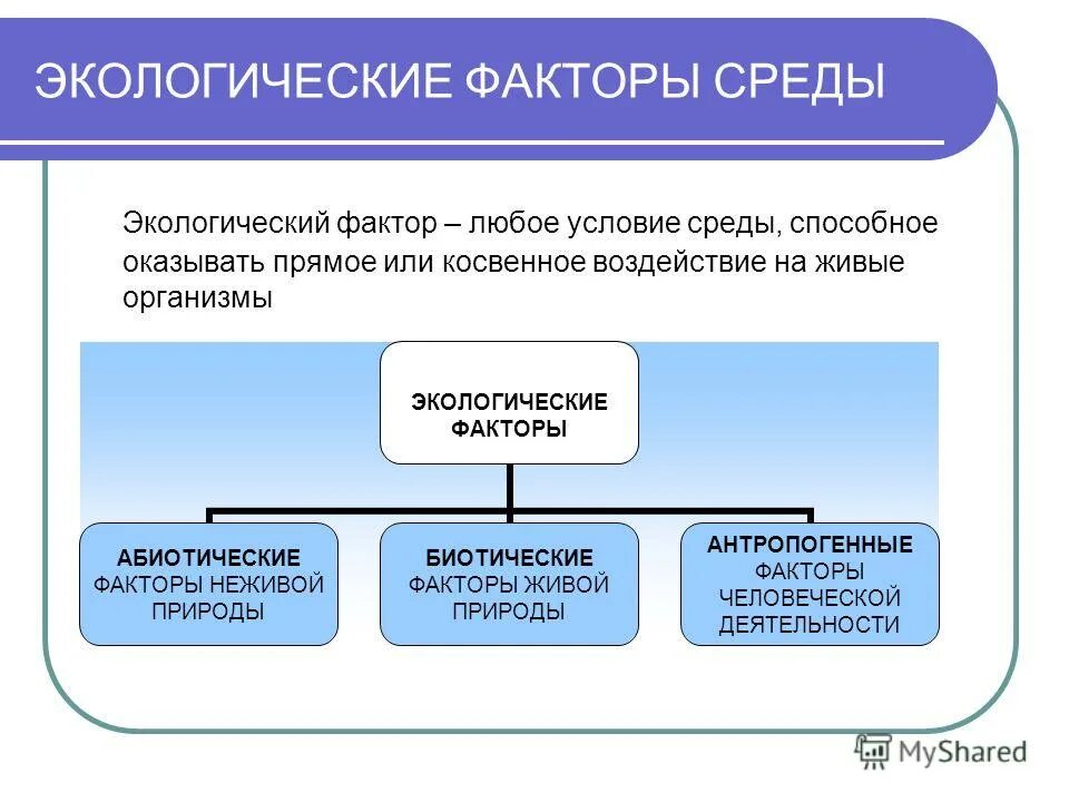 Какие факторы среды называют экологическими. Факторы среды. Факторы окружающей среды. Экологические факторвсреды. Антологические факторы среды это.