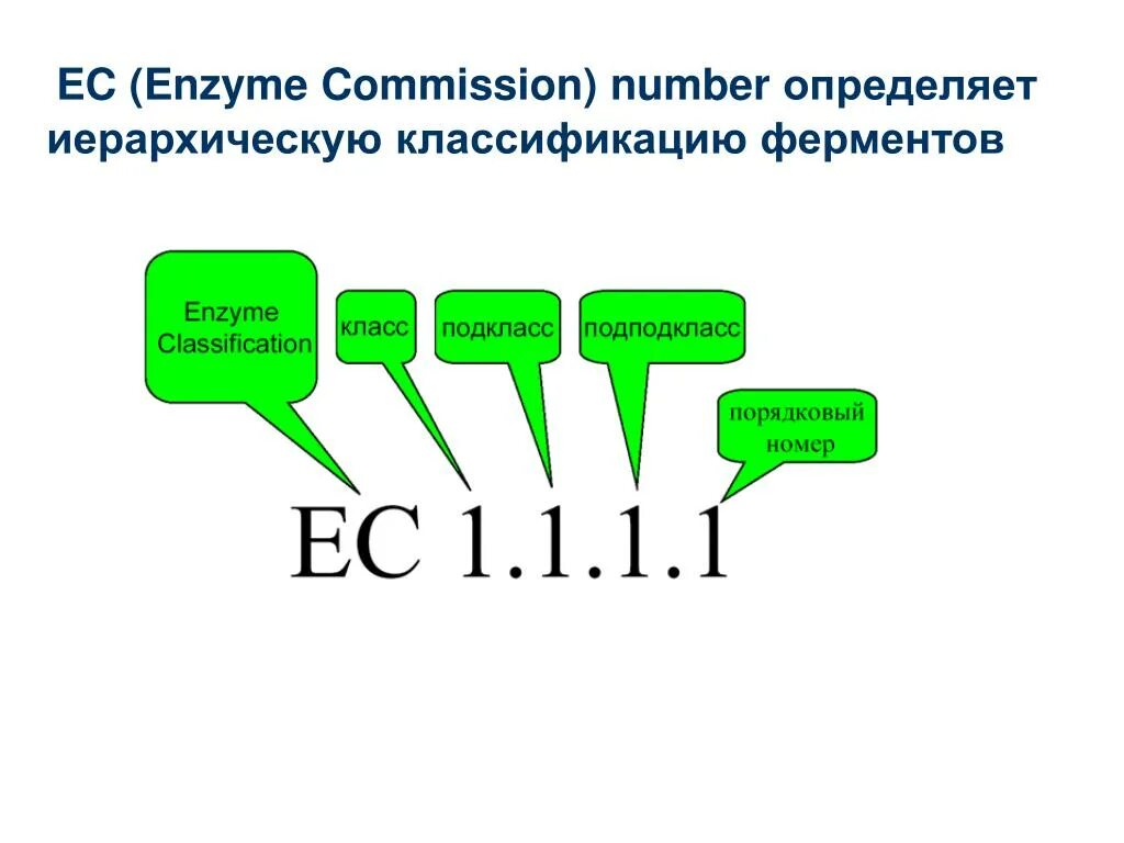 Фермент вилка. Как обозначаются ферменты. Классы ферментов обозначения. Enzyme classification. Порядковый номер фермента.