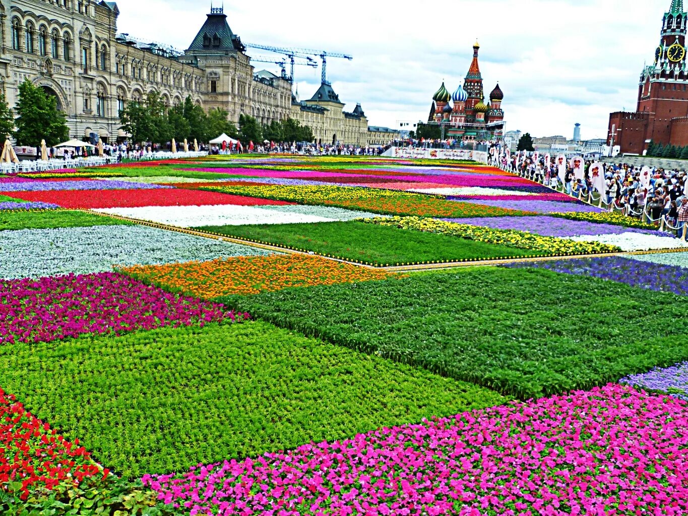 Цветы пл. Цветник на красной площади. Парк Победы Москва цветы клумбы. Клумбы на красной площади в Москве. Парк Царицыно цветник.