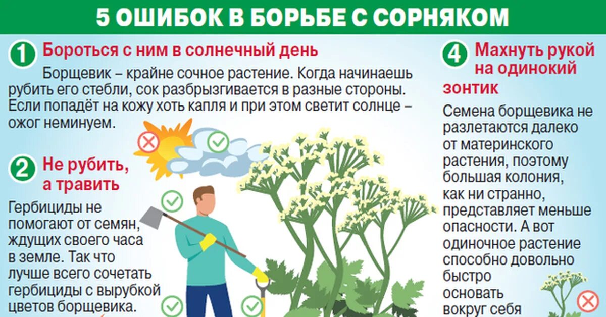 От какой травы можно получить ожог