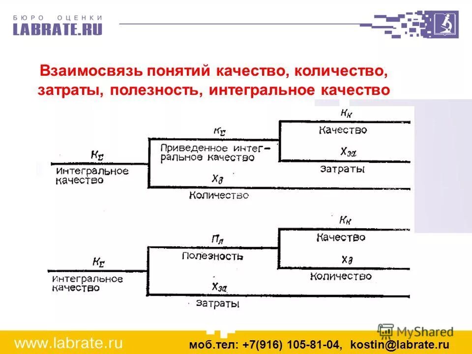 Порядок их замещения и соотношение понятий. Виды отношений в логике. Должности муниципальной службы. Порядок их замещения и соотношение понятий. Классификатор муниципальных должностей.