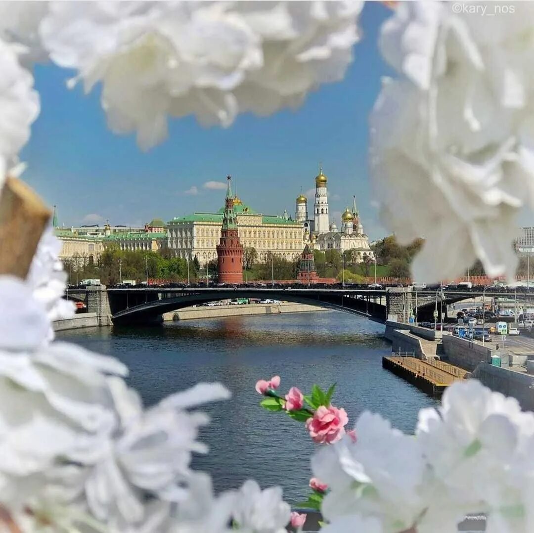 Ботанический сад мгу сакура. Это москва весной. Парк горького москва апрель. Май в городе. Москва весенняя красивая.