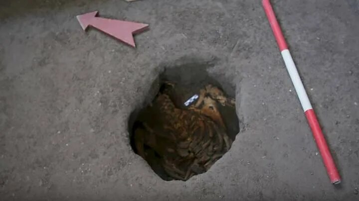 Последствия мощного золотого дождика оказались весьма приятными для двух юных дев