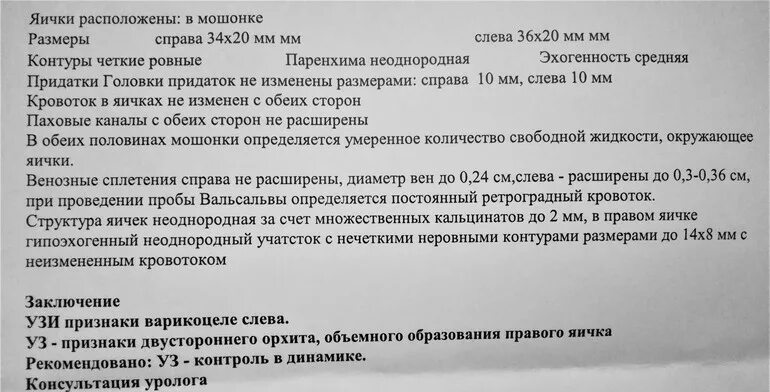 УЗИ мошонки водянка протокол. Эпидидимит УЗИ протокол. УЗИ мошонки заключение норма. УЗИ яичек заключение. Яички мальчика рассказы