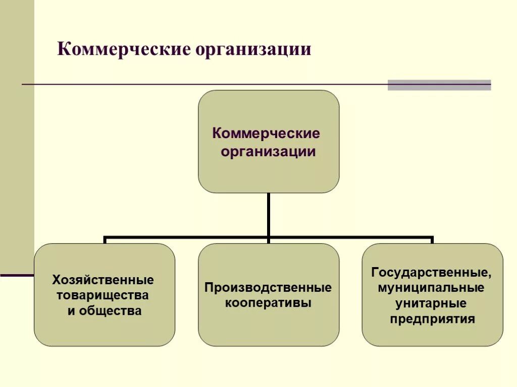 Коммерческое предприятие пример организации. Комерчески еораганизации. Коммерческие организации примеры. Какие организации являются коммерческими. Государственные юридические лица пример